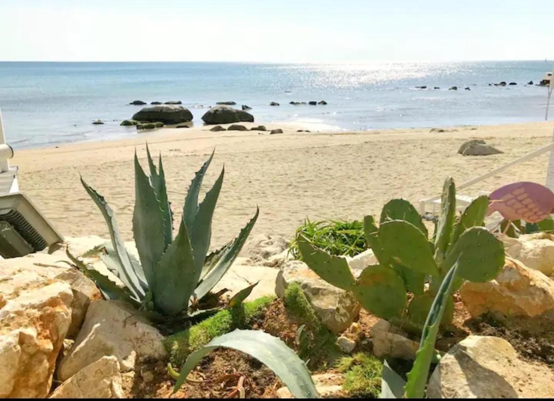 Apartment Pharos زامبراتيجا المظهر الخارجي الصورة